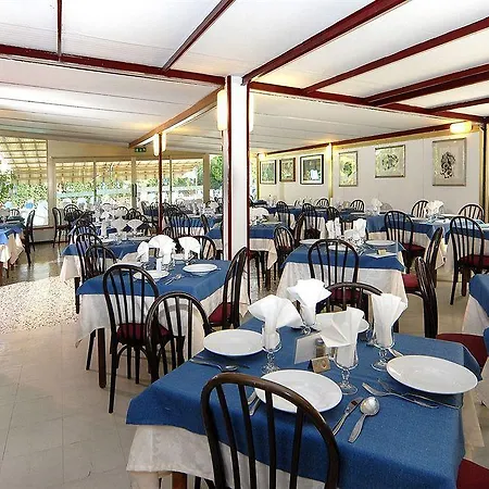 Hotel Delle Mimose 