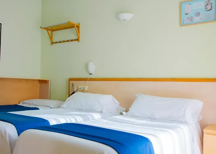 Hotel Delle Mimose